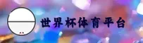 世界杯下注 · 2025官方平台 · App下载安装包